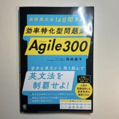 効率特化問題集　Agile300のサムネイル