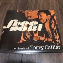 Free Soul. the classic of Terry Callierのサムネイル