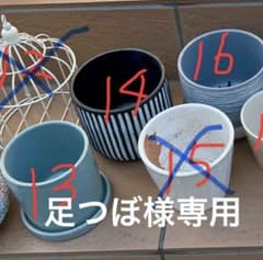 鉢のサムネイル