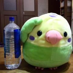 ことり隊 セキセイグリーン ビックサイズのサムネイル