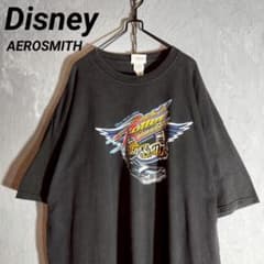 Disney ディズニー R&Rコースター エアロスミス Tシャツ バンT. - メルカリ