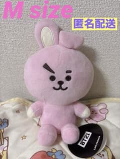 BT21 Plush Toy COOKY Basic M size (with bonus item)