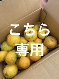 Napさま専用ゆず7キロのサムネイル