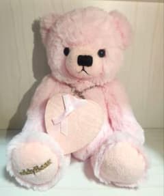 テディベア ぬいぐるみネックレス ギフトセットのサムネイル
