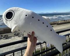 2等 しらす ぬいぐるみ 新江ノ島水族館 えのすい シラスくじ