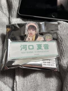 가와구치 나츠네 이코노이 조이 네임 배지