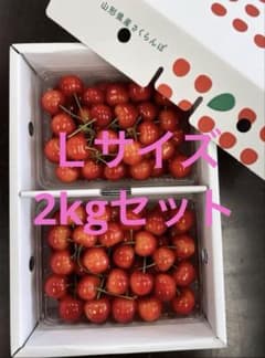 たくさん食べたい佐藤錦Ｌサイズ2kgセットのサムネイル
