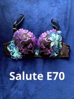 Salute E70のサムネイル