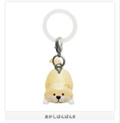 しばんばん　めじるしアクセサリーのサムネイル