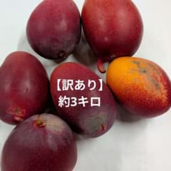 【訳あり】宮崎県産完熟マンゴー 　約3キロのサムネイル
