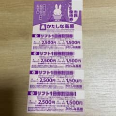 かたしな高原スキー場　1日リフト券のサムネイル