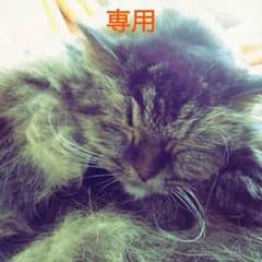 mayumi様専用 ディオール ミニグロスのサムネイル