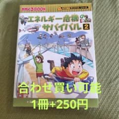 ぎん様 リクエスト 2点 まとめ商品のサムネイル