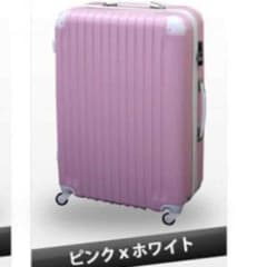 新品 キャリーバッグのサムネイル