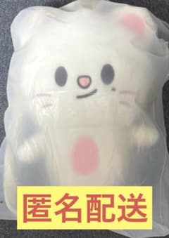 葉*月様 StrayKids SKZOO PLUSH BACKPACK Jini 葉*月様 StrayKids SKZOO PLUSH BACKPACK Jini - メルカリ