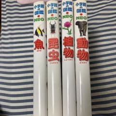 小学館の図鑑neo 動物、植物、昆虫、魚　4冊セットのサムネイル