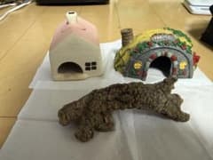 爬虫類 両生類 飼育レイアウトセット(シェルター等)のサムネイル