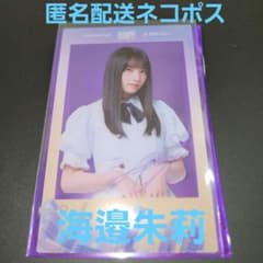 海邊朱莉 新参者 チェキ風クリアカード サイン 乃木坂 - メルカリ