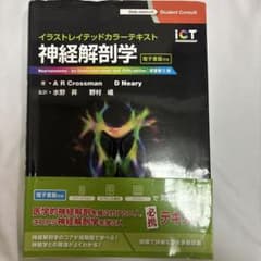 神経解剖学 イラストレイテッドカラーテキストのサムネイル