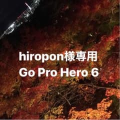 hiropon様専用　Go pro here6のサムネイル