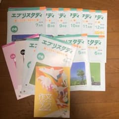z会 エブリスタディ　公立中高一貫校作文のサムネイル