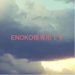 ENOKO様専用ですのサムネイル