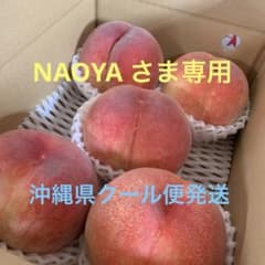 山梨の木のてっぺん桃 超特大を5個詰めて発送 人気商品 - メルカリ