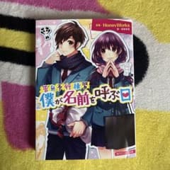 告白予行練習 僕が名前を呼ぶ日 香坂茉里 角川ビーンズ文庫のサムネイル