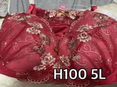 大きい ブラショーツセットH100 ショーツ5Lのサムネイル