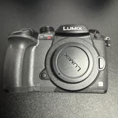 Panasonic LUMIX DC-GH5S　本体のサムネイル
