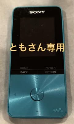SONY ウォークマン NW-S313のサムネイル