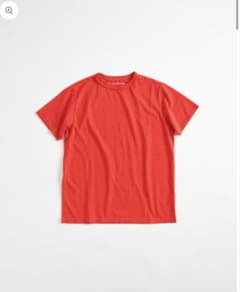Shinzone Tシャツのサムネイル
