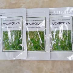 サンポウレンのサムネイル