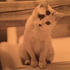 バター様専用のサムネイル