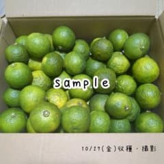 【自然栽培】葉っぱなし花柚子 青柚子 約１キロ前後のサムネイル