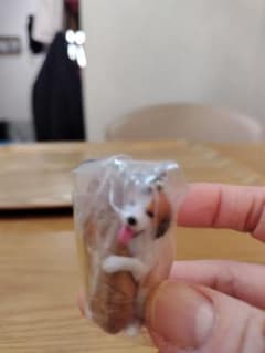 ガチャパン　わんこのサムネイル