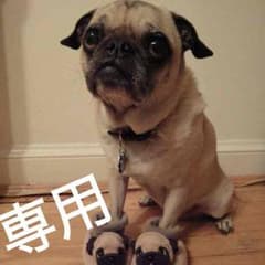 kintaさん専用のサムネイル