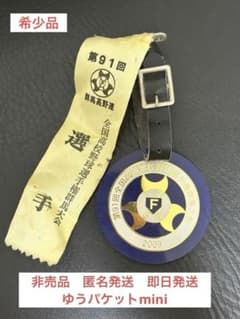 第91回全国高校野球選手権記念群馬大会 選手用記念バッジのサムネイル
