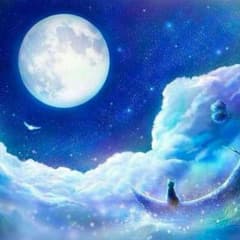 ✡。:*はいべる様 専用ページ✡。:*のサムネイル