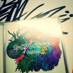 カイワレハンマーFirstCDのサムネイル