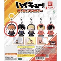 ハイキュー!! めじるしアクセサリー　日向のサムネイル