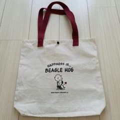 steady 11月号付録　スヌーピー×AGのサムネイル