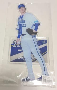 横浜DeNAベイスターズ BIGアクリルスタンド ＃22 入江 - メルカリ