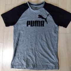 PUMA グレー ブラック Tシャツ Mサイズのサムネイル