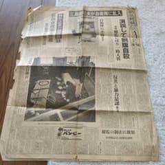 m43190819054_1.jpg?1773399616
