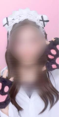 文化祭　猫セット　即日発送○のサムネイル