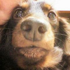 有銘明美様専用のサムネイル