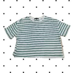 ボーダー柄 クロップド丈 Tシャツ グリーン　韓国風シンプルのサムネイル
