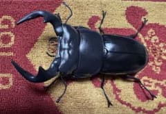 アンタエウスオオクワガタ カプセルトイのサムネイル