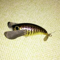ジャッカル ポンパドールのサムネイル